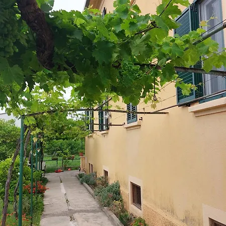 Grape Escape Kastela