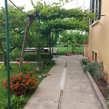 Apartment Grape Escape