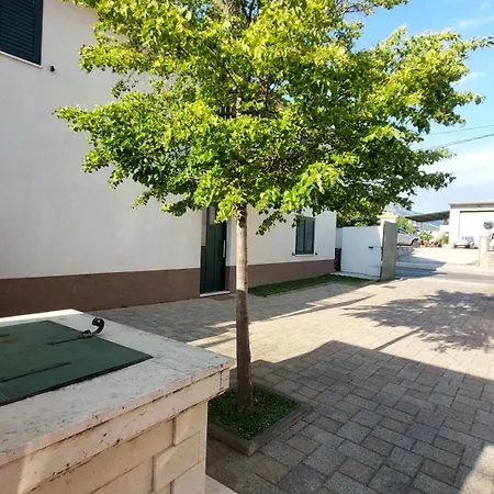 Grape Escape Apartment